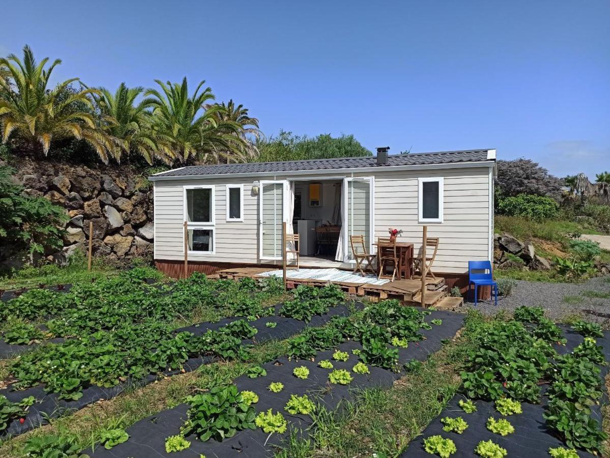 Mobil Home Bambù Villa de Mazo Bagian luar foto